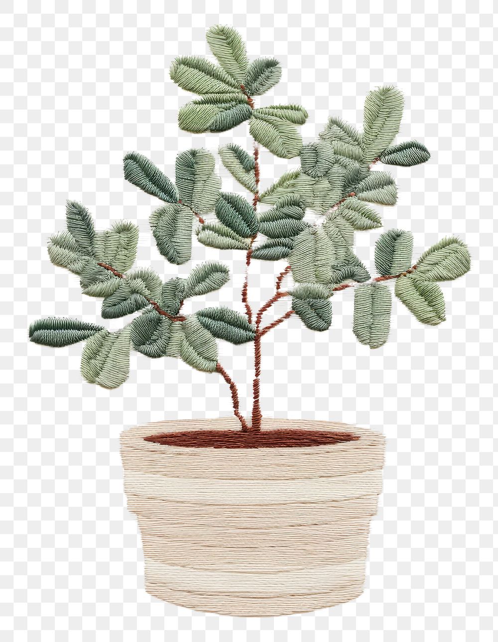 PNG Embroidery of potted plant leaf houseplant astragalus.