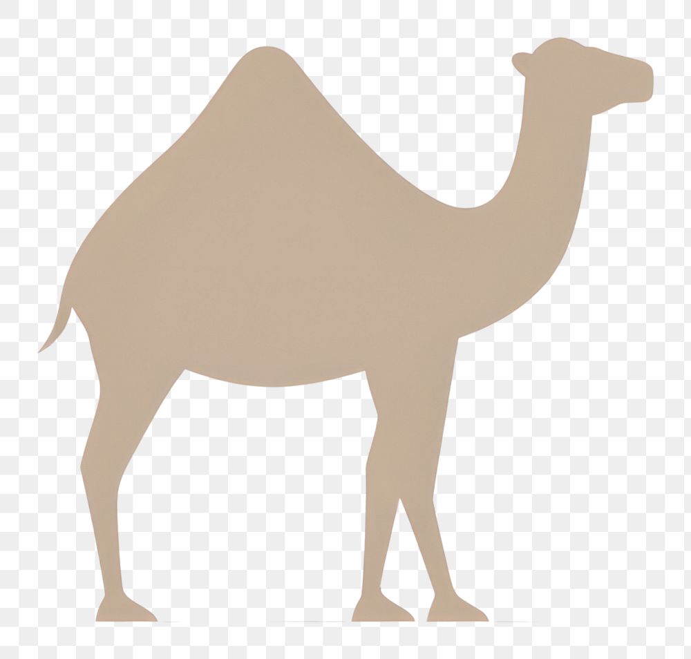 PNG  Camel animal mammal white background. 