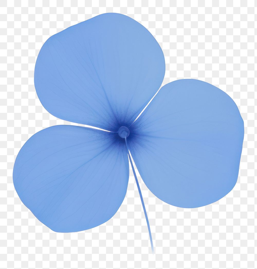 PNG  Blue flower petal plant leaf. AI generated Image by rawpixel.