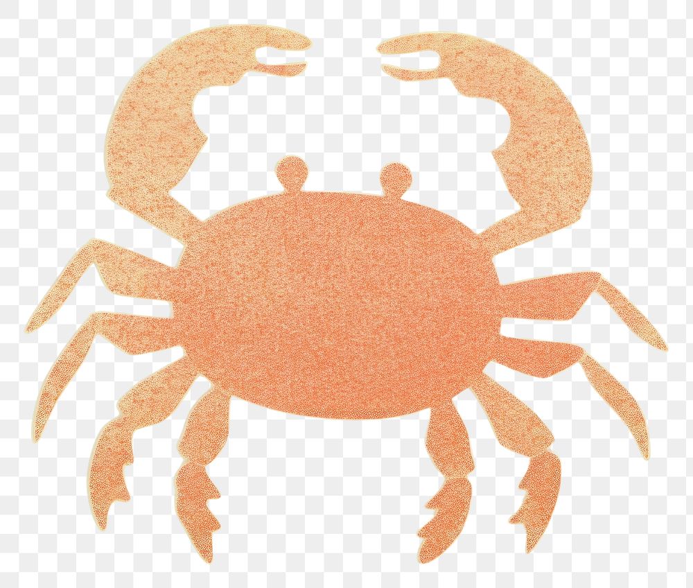 PNG  Crab seafood animal white background. AI generated Image by rawpixel.