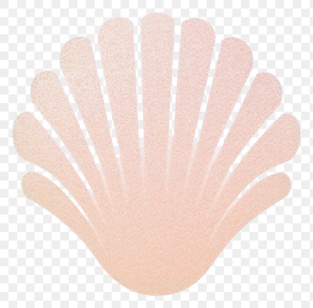 PNG Shell white background invertebrate seashell. AI generated Image by rawpixel.