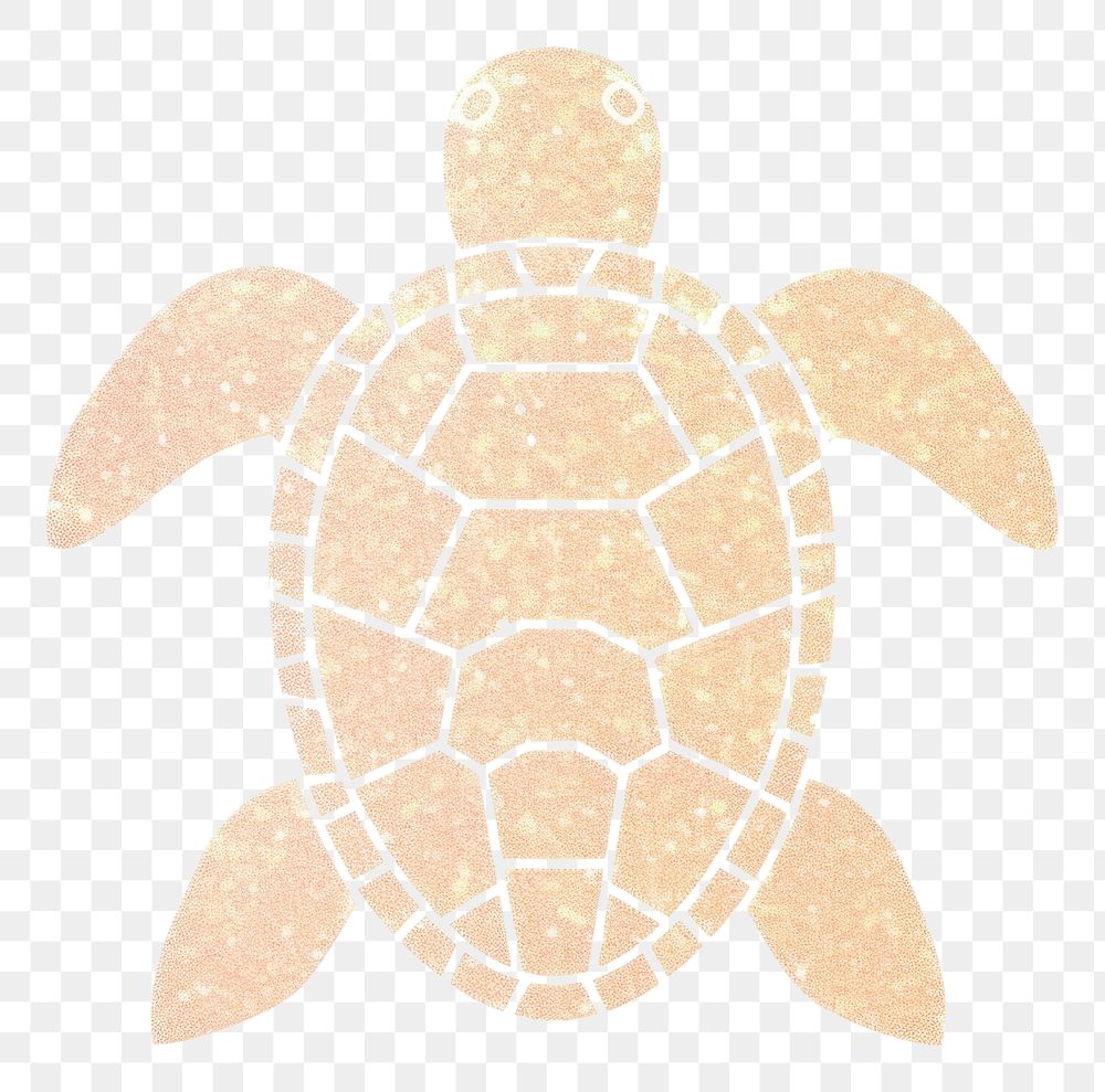 PNG  Turtle reptile animal white background. AI generated Image by rawpixel.