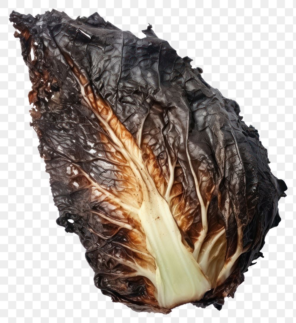 PNG  Cabbage with burnt vegetable plant food.