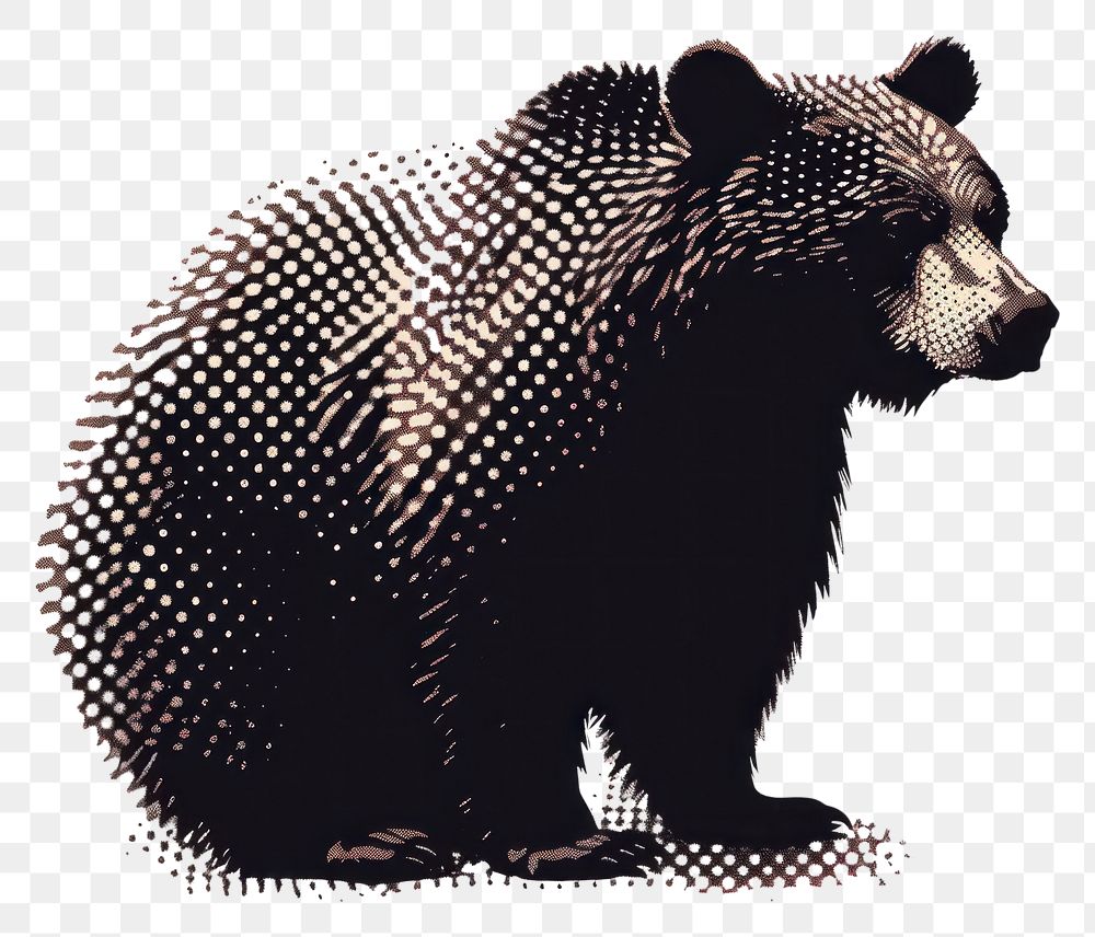 PNG  Bear bear wildlife cartoon.