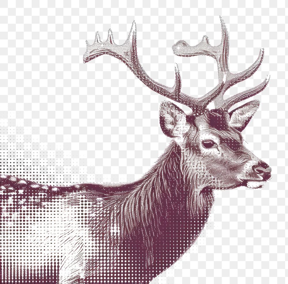 PNG  Deer wildlife cartoon animal.