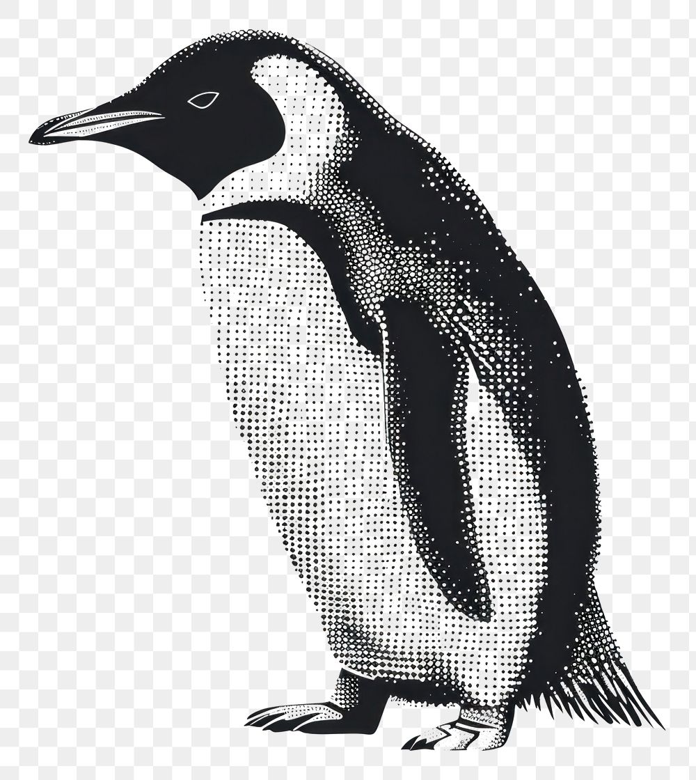 PNG  Penguin penguin cartoon animal.