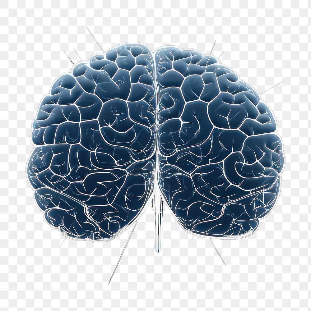 PNG  Brain brain night blue.