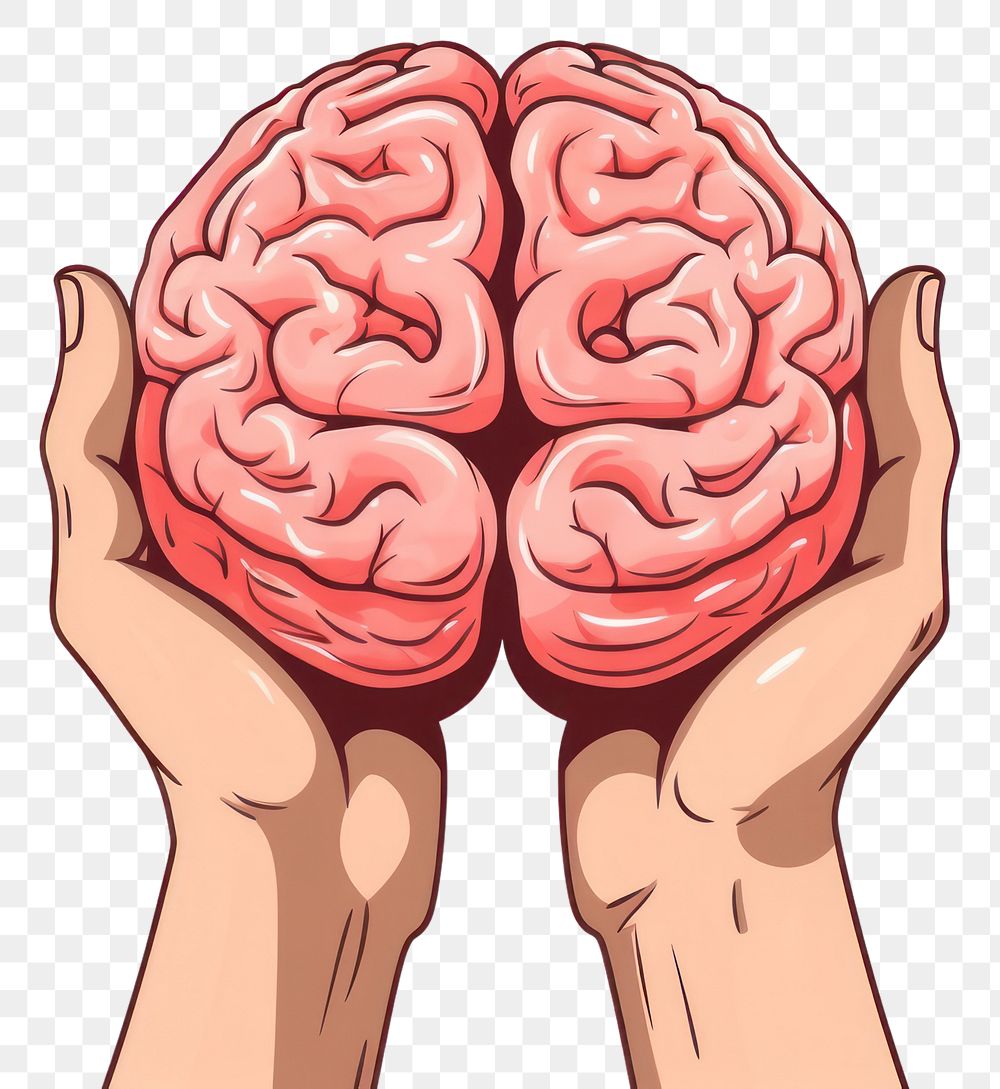 PNG Human hand holding Brain cartoon brain human.