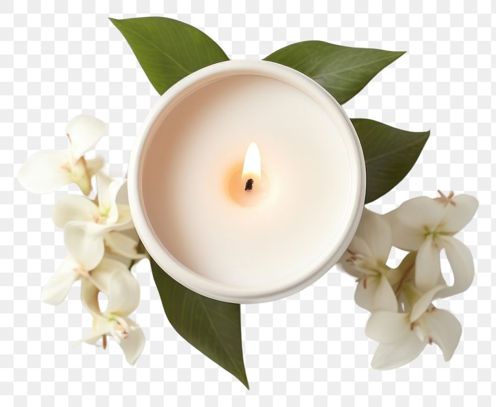 PNG  Candle flower plant white background.