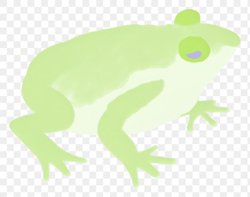 PNG Frog amphibian wildlife animal. AI generated Image by rawpixel.