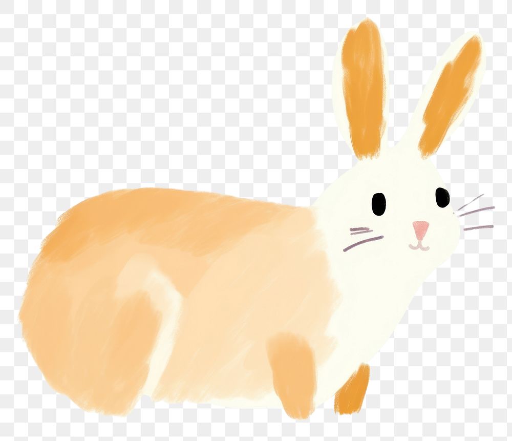 PNG Rabbit animal mammal cute. 