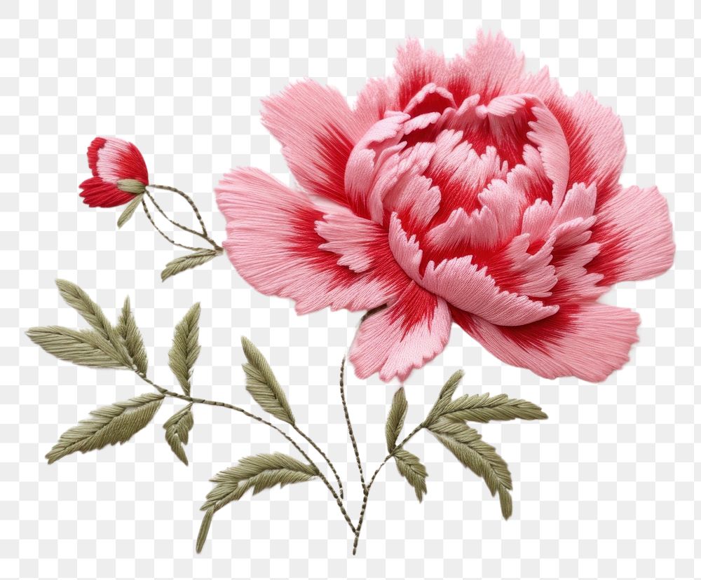 PNG  Cute minimal Peony in embroidery style pattern flower plant.