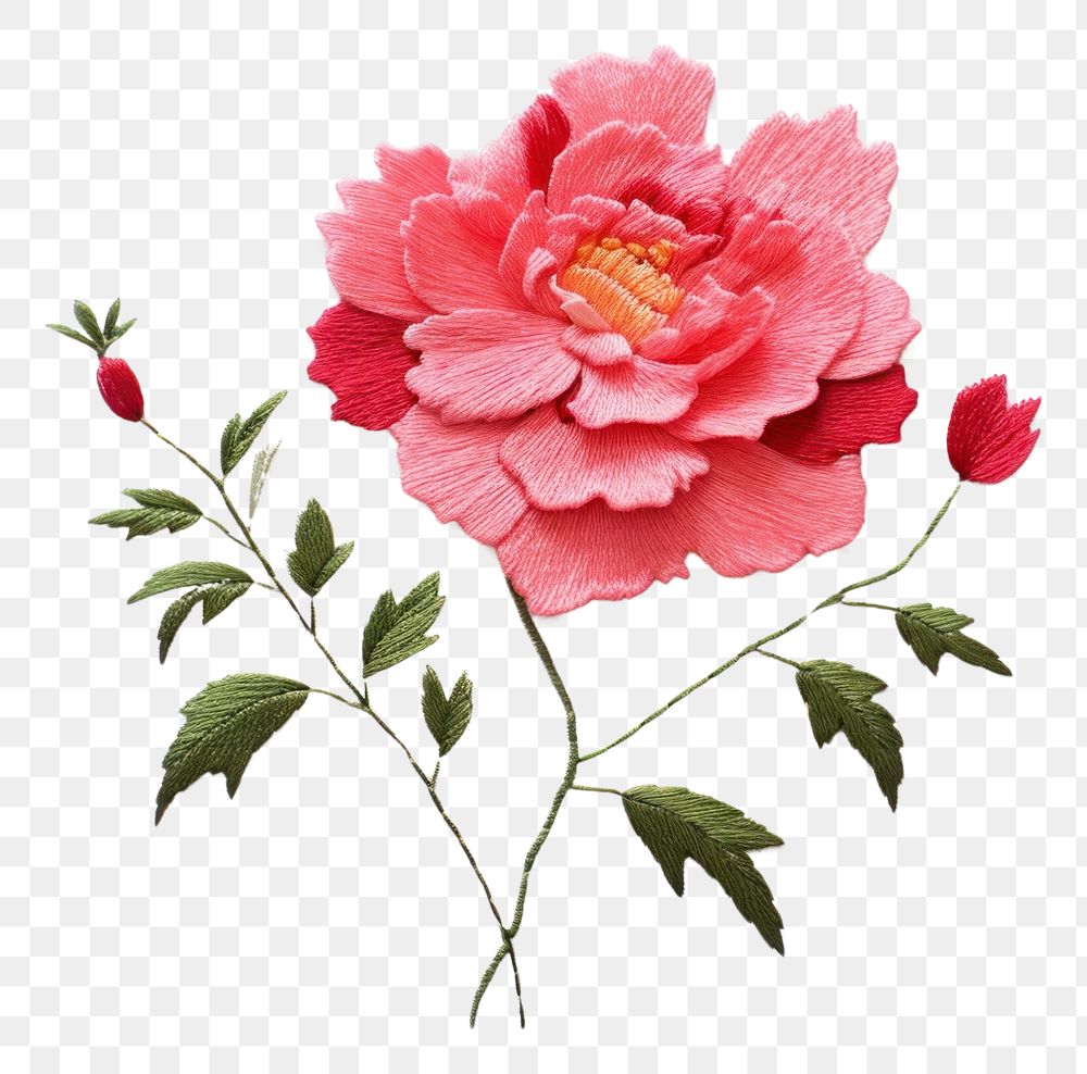 PNG  Cute minimal Peony in embroidery style blossom flower petal.