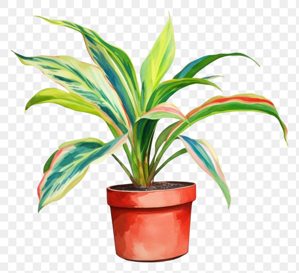 PNG Potted plant leaf white background creativity.