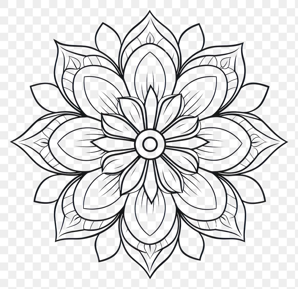 PNG Flower sketch pattern drawing