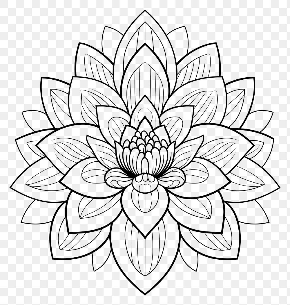 PNG Lotus sketch drawing flower. 