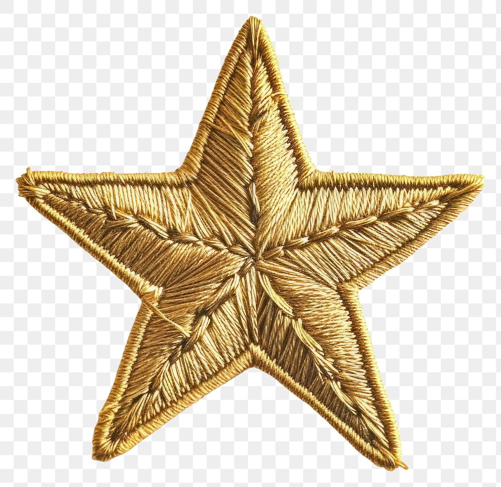 PNG  Simple Golden Star badge gold echinoderm.