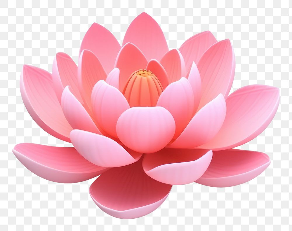 PNG  Lotus flower petal plant.