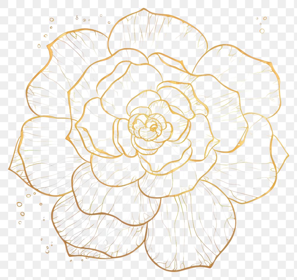 PNG  Flower sketch pattern drawing.