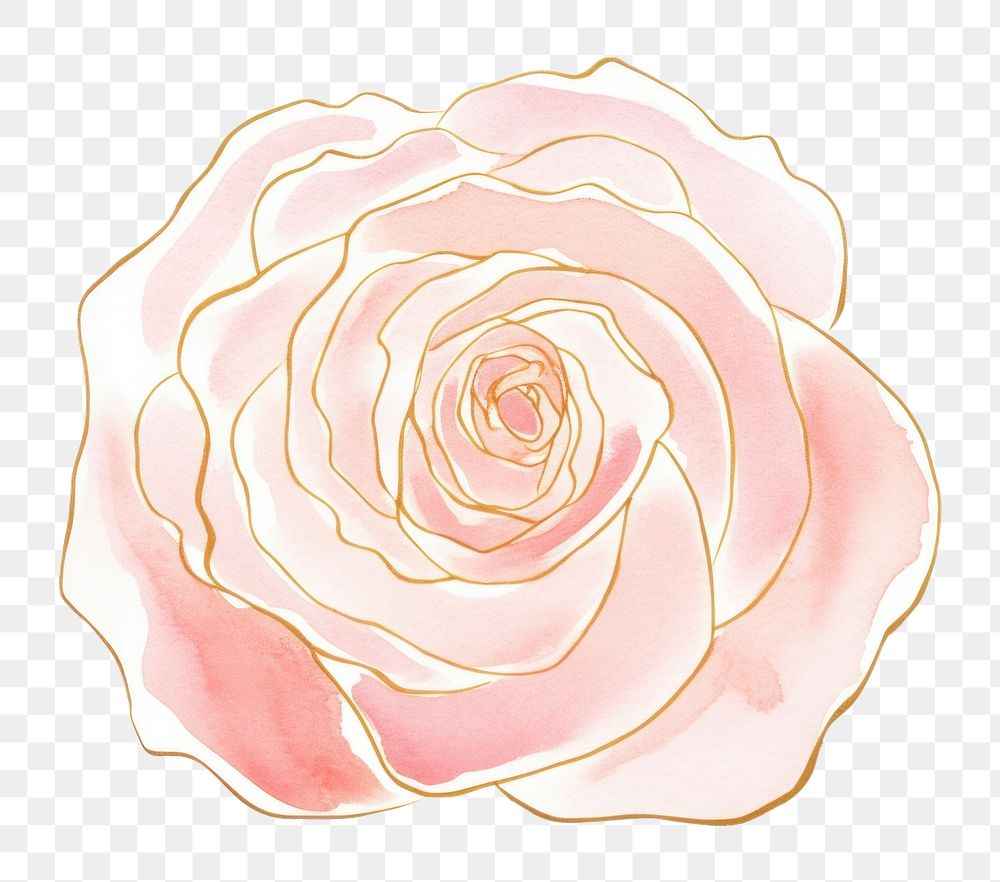 PNG  Watercolor rose and thin golden glitter outline stroke flower petal plant.