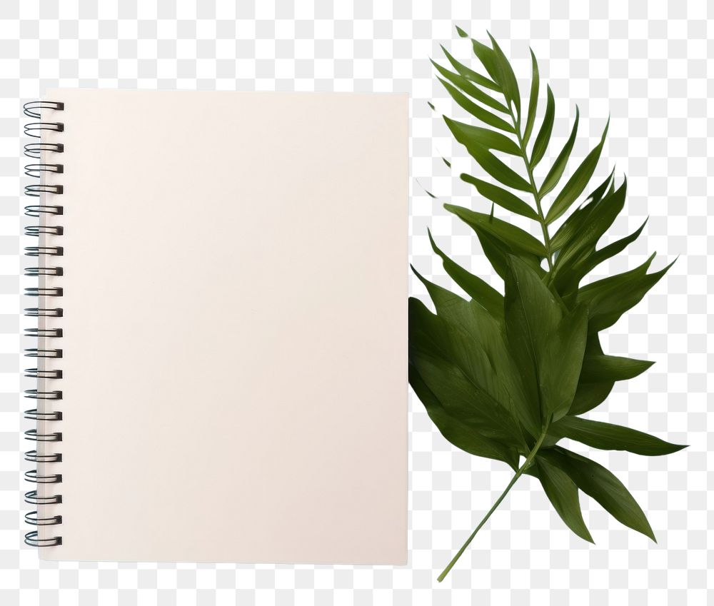 PNG Journal element mockup plant page leaf.