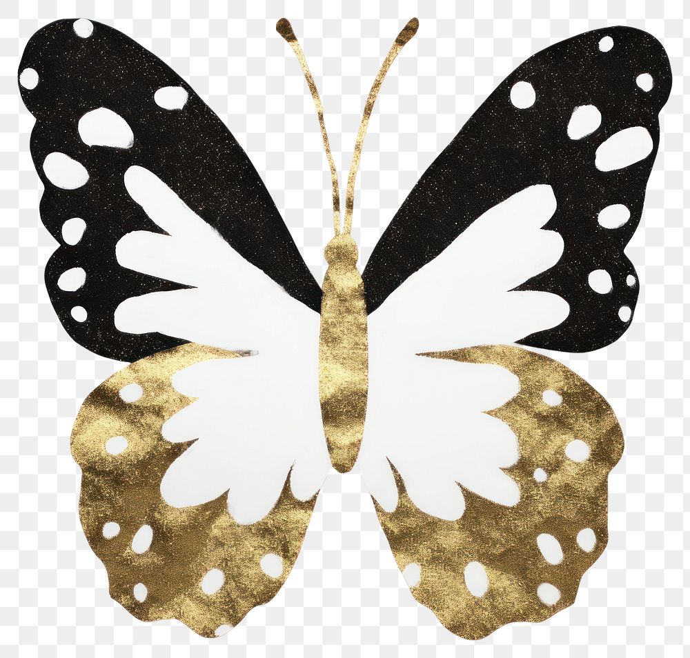 PNG  Butterfly ripped paper animal insect white background.