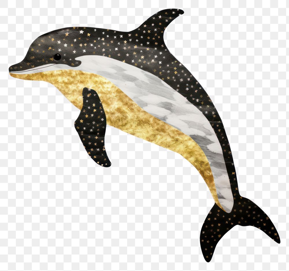 PNG  Dolphin ripped paper animal mammal fish.