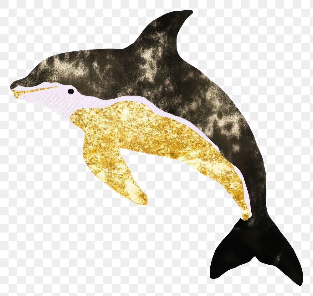 PNG  Dolphin ripped paper animal mammal whale.