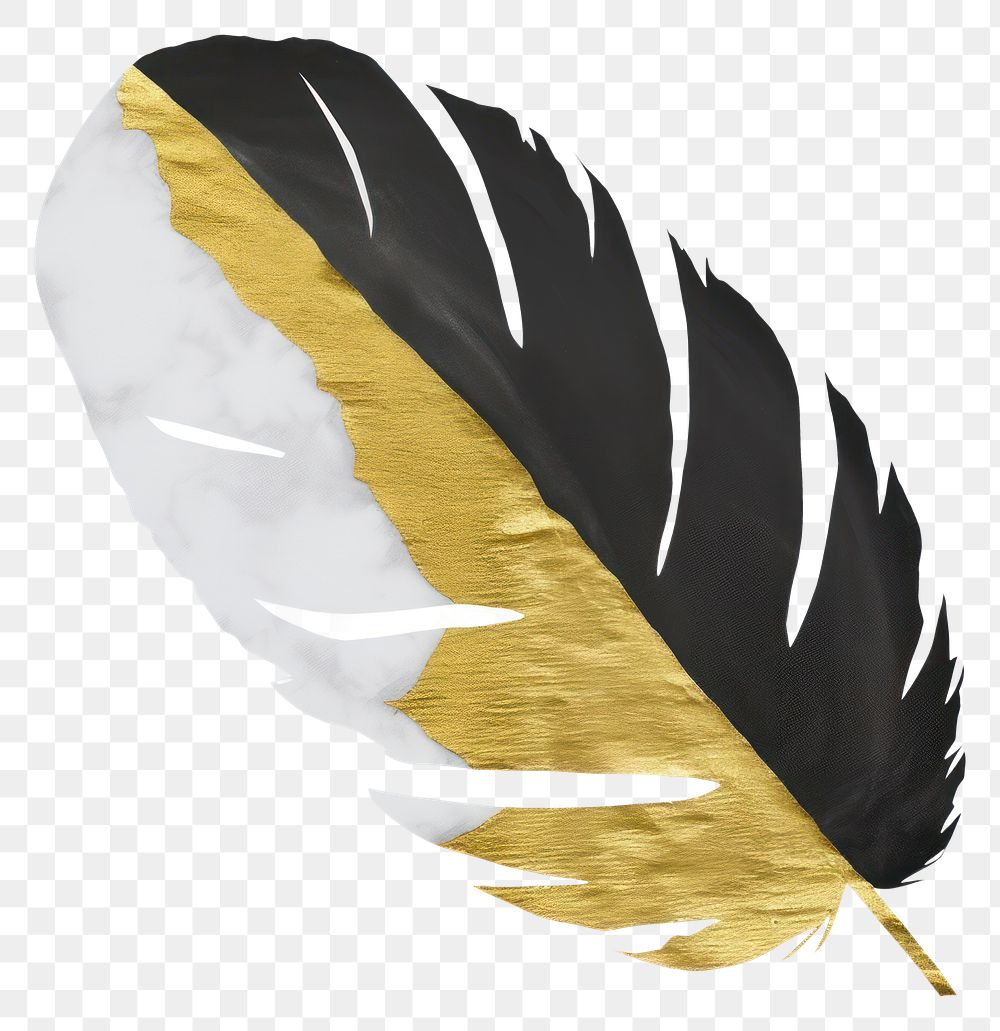 PNG  Feather ripped paper white background lightweight accessories.