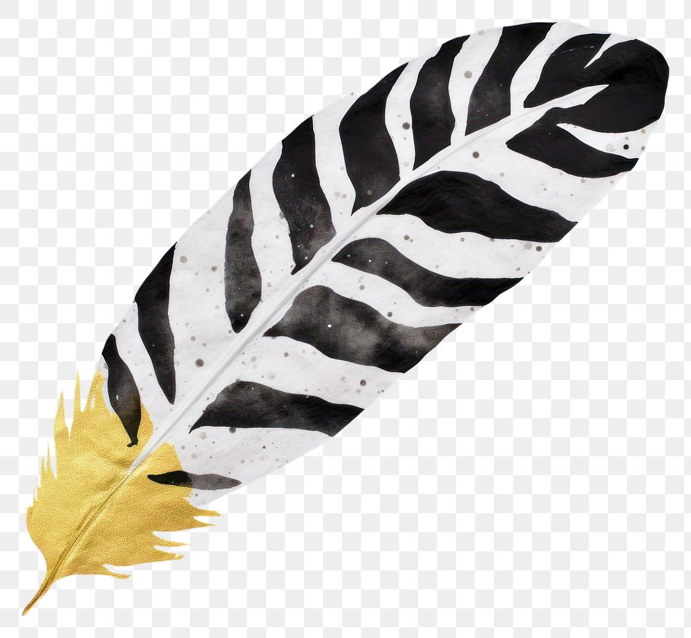 PNG  Feather ripped paper leaf white background lightweight.
