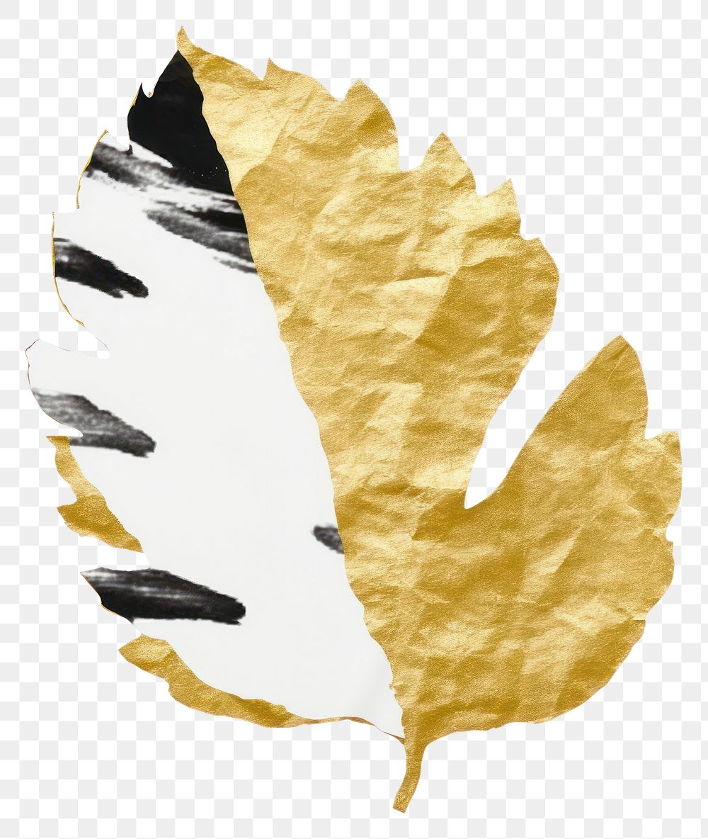 PNG  Leaf ripped paper plant white background creativity.