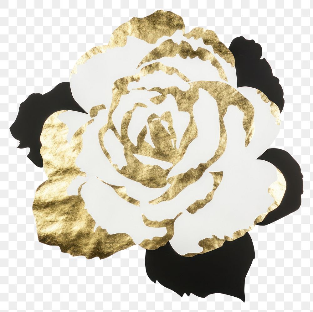 PNG  Rose ripped paper flower plant white background.