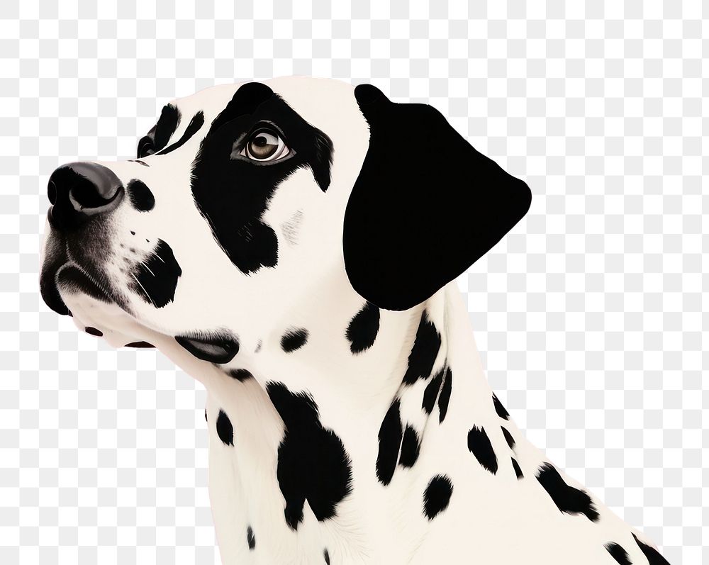PNG Cute background dog dalmatian pattern. AI generated Image by rawpixel.