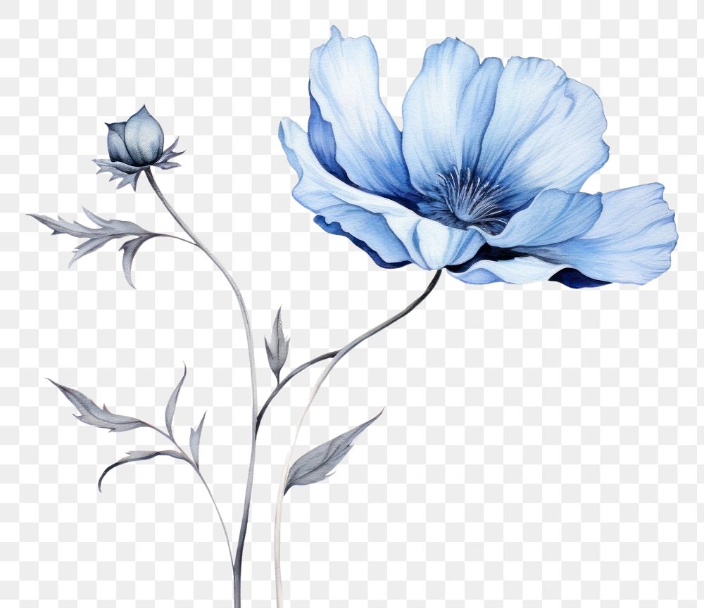 PNG Blue flower drawing pattern sketch. 