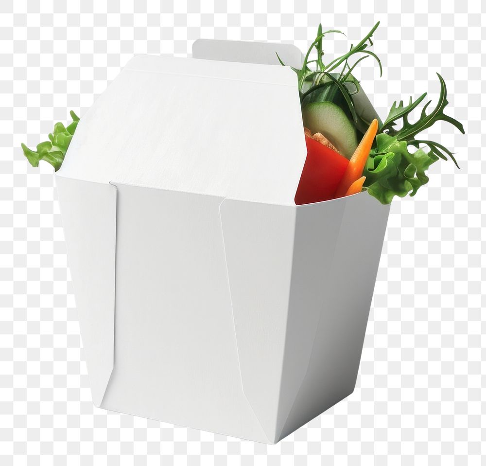 PNG Takeaway food container box mockup with vegetable and blank label mockup packaging carton plant gray background.