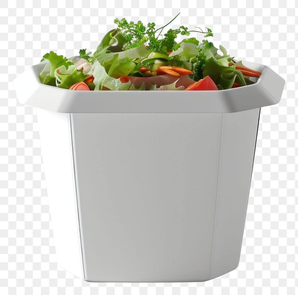 PNG Takeaway food container box mockup with vegetable and blank label mockup packaging plant freshness flowerpot.