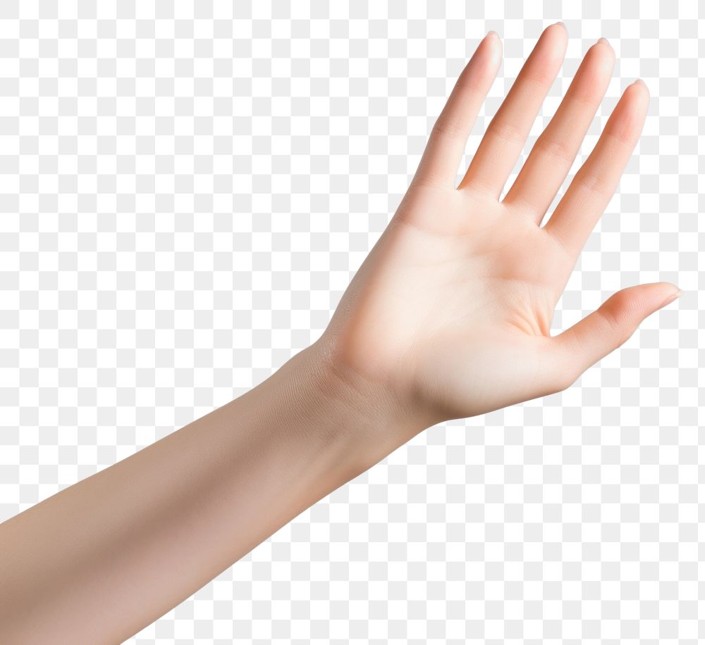 PNG  Hand finger adult gesturing.