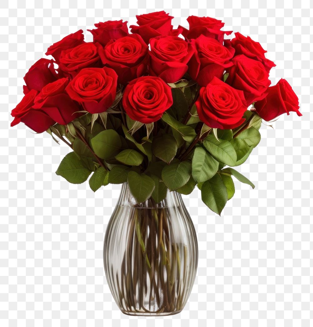 PNG Red roses vase flower glass. 