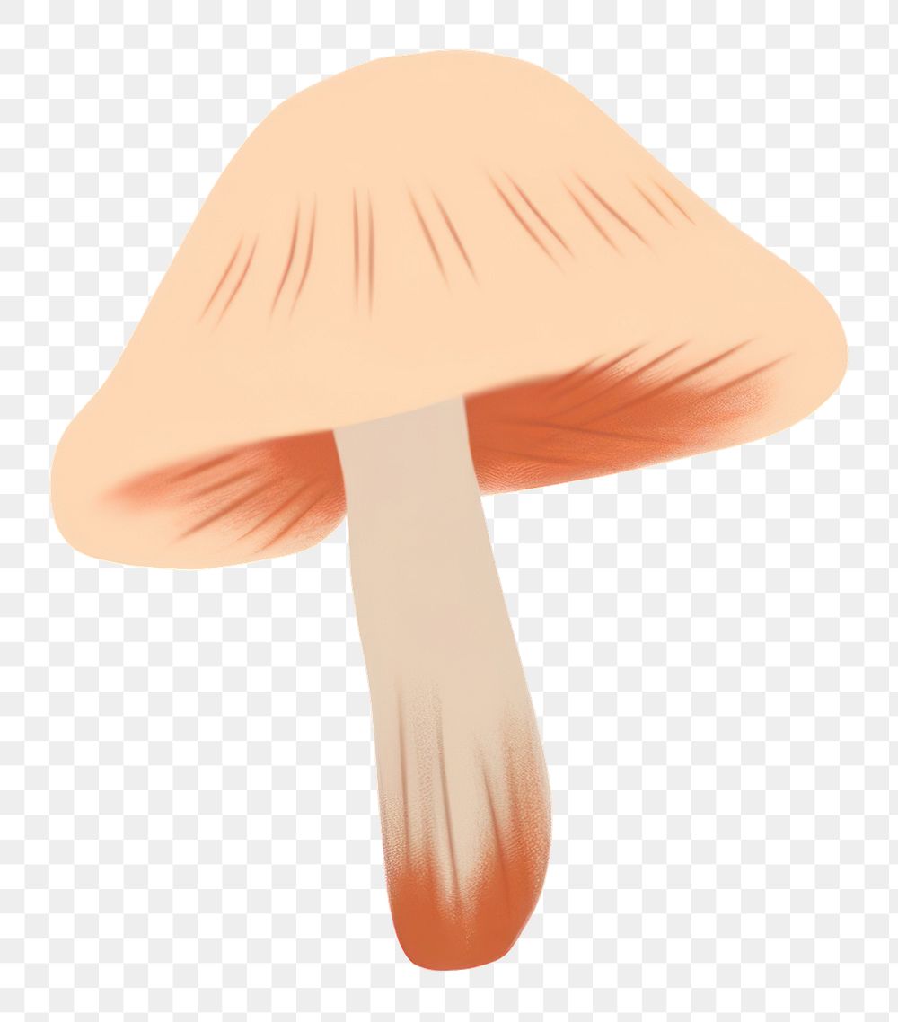 PNG  Mushroom fungus agaric white background. AI generated Image by rawpixel.