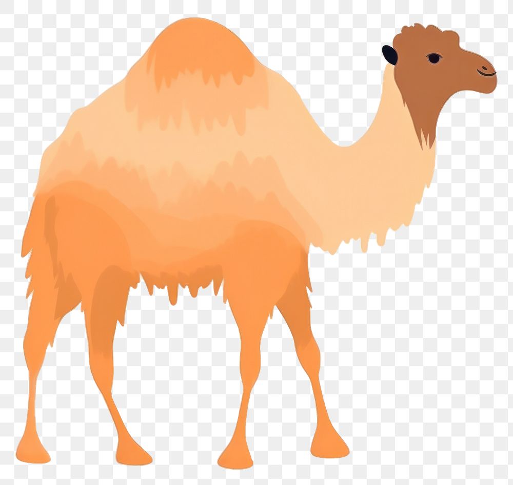 PNG  Camel animal mammal white background. AI generated Image by rawpixel.