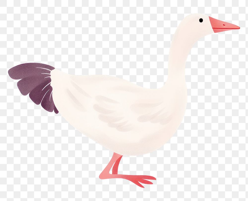 PNG  Goose dancing animal white bird. AI generated Image by rawpixel.