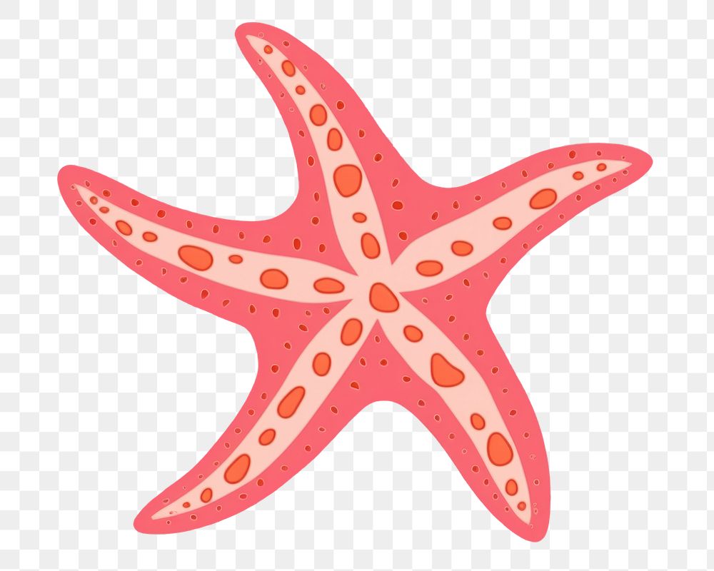 PNG  Star fish starfish white background invertebrate. AI generated Image by rawpixel.