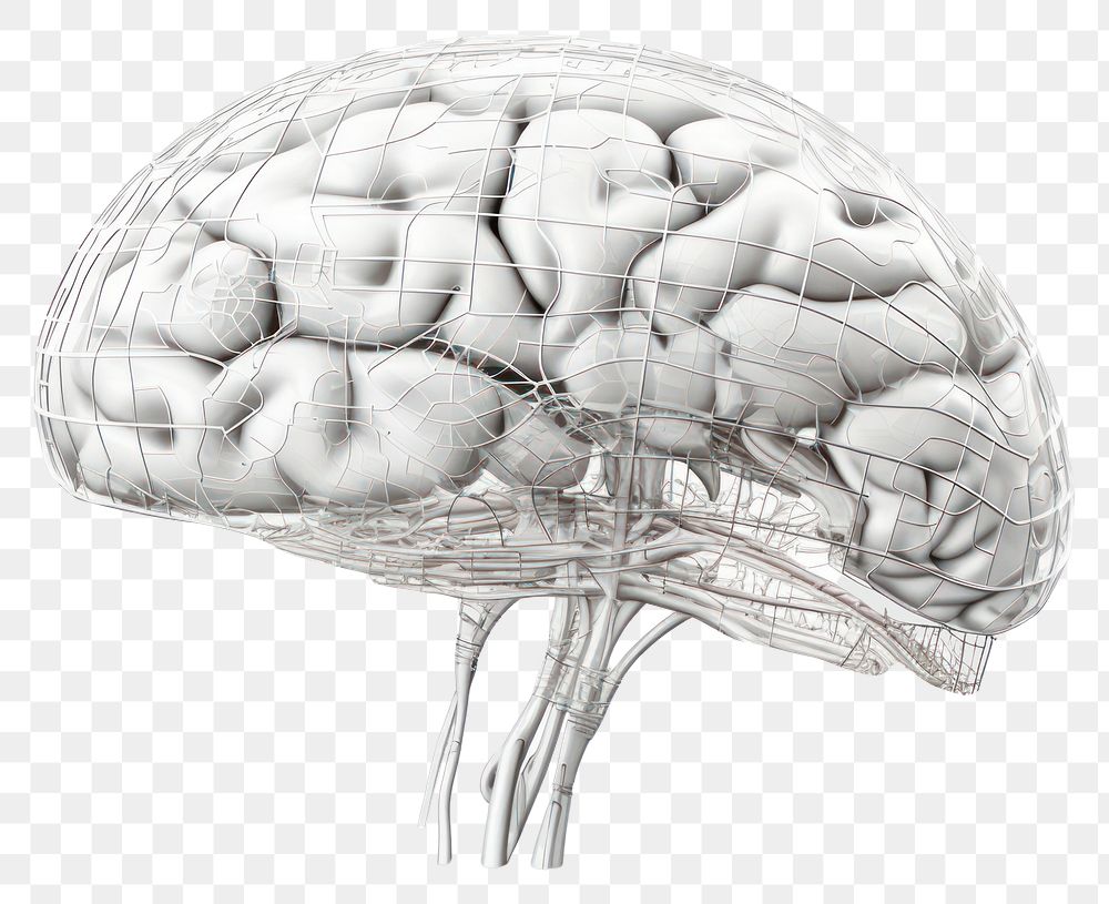 PNG  3d human brain sketch drawing art. AI generated Image by rawpixel.