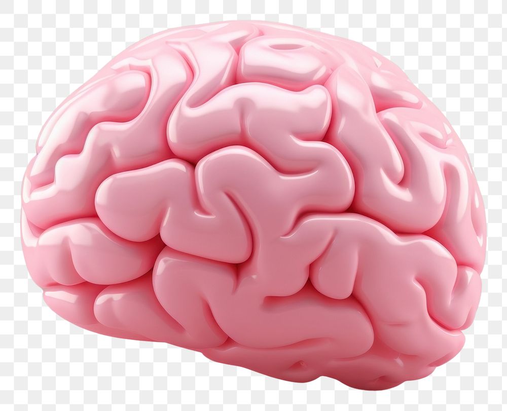 PNG Pink plastic brain confectionery investment medical.