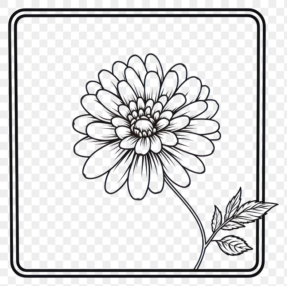 PNG  Drawing sketch flower daisy.