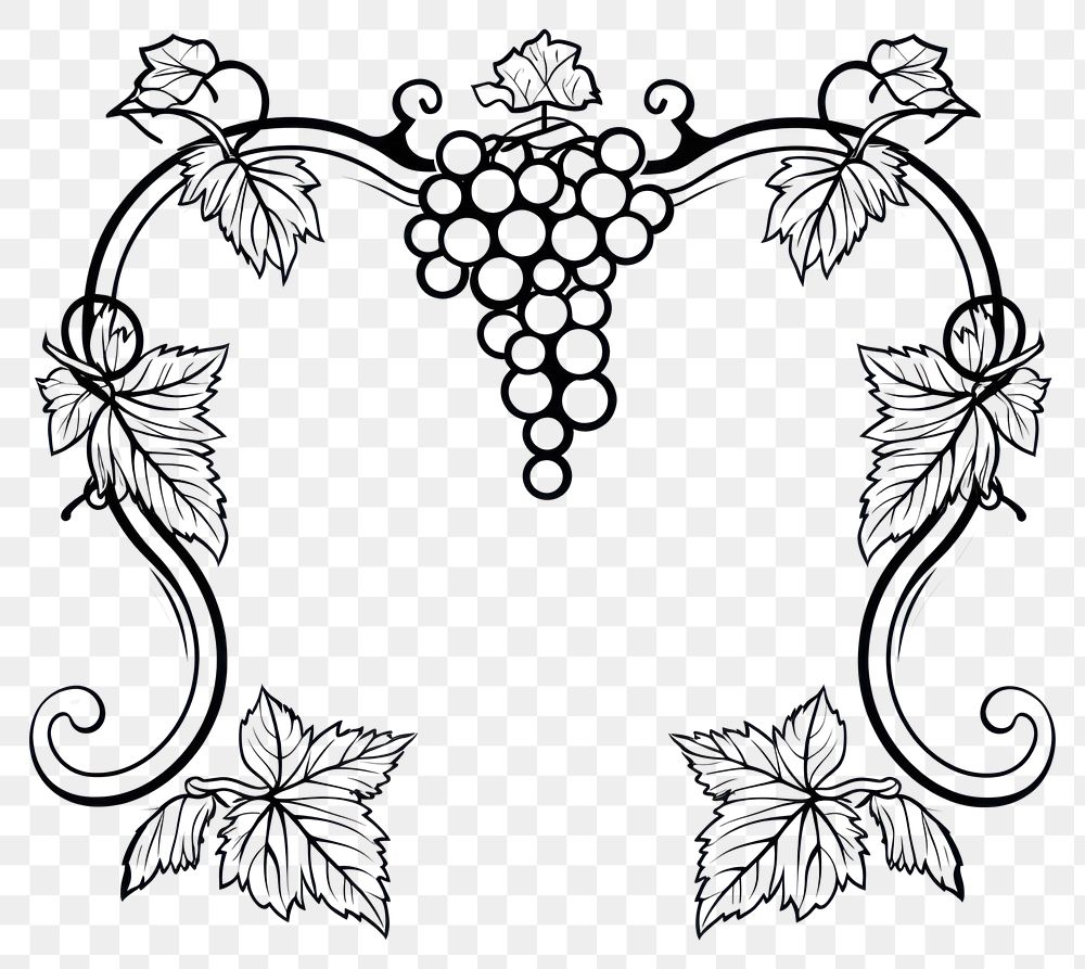 PNG  Grapes pattern drawing sketch.