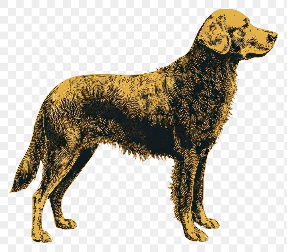PNG  Golden retriever animal mammal black. AI generated Image by rawpixel.