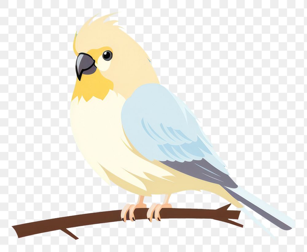 PNG Cockatiel bird animal canary budgerigar. AI generated Image by rawpixel.