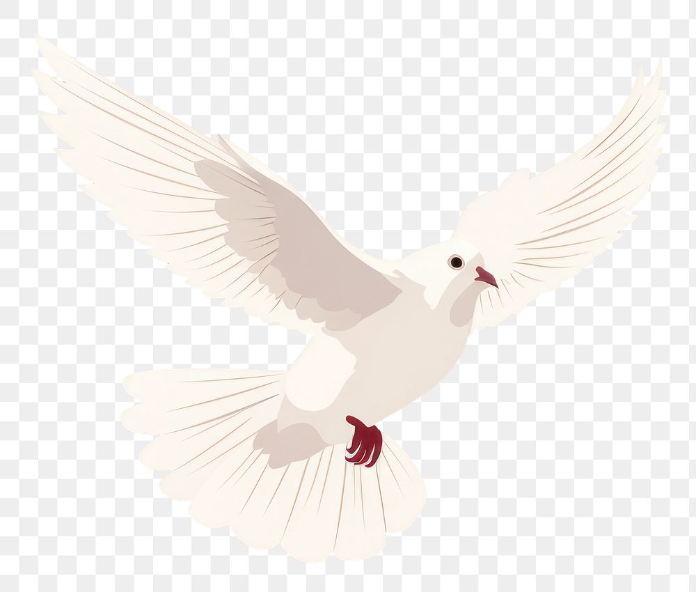 PNG Dove animal bird wing. AI generated Image by rawpixel.