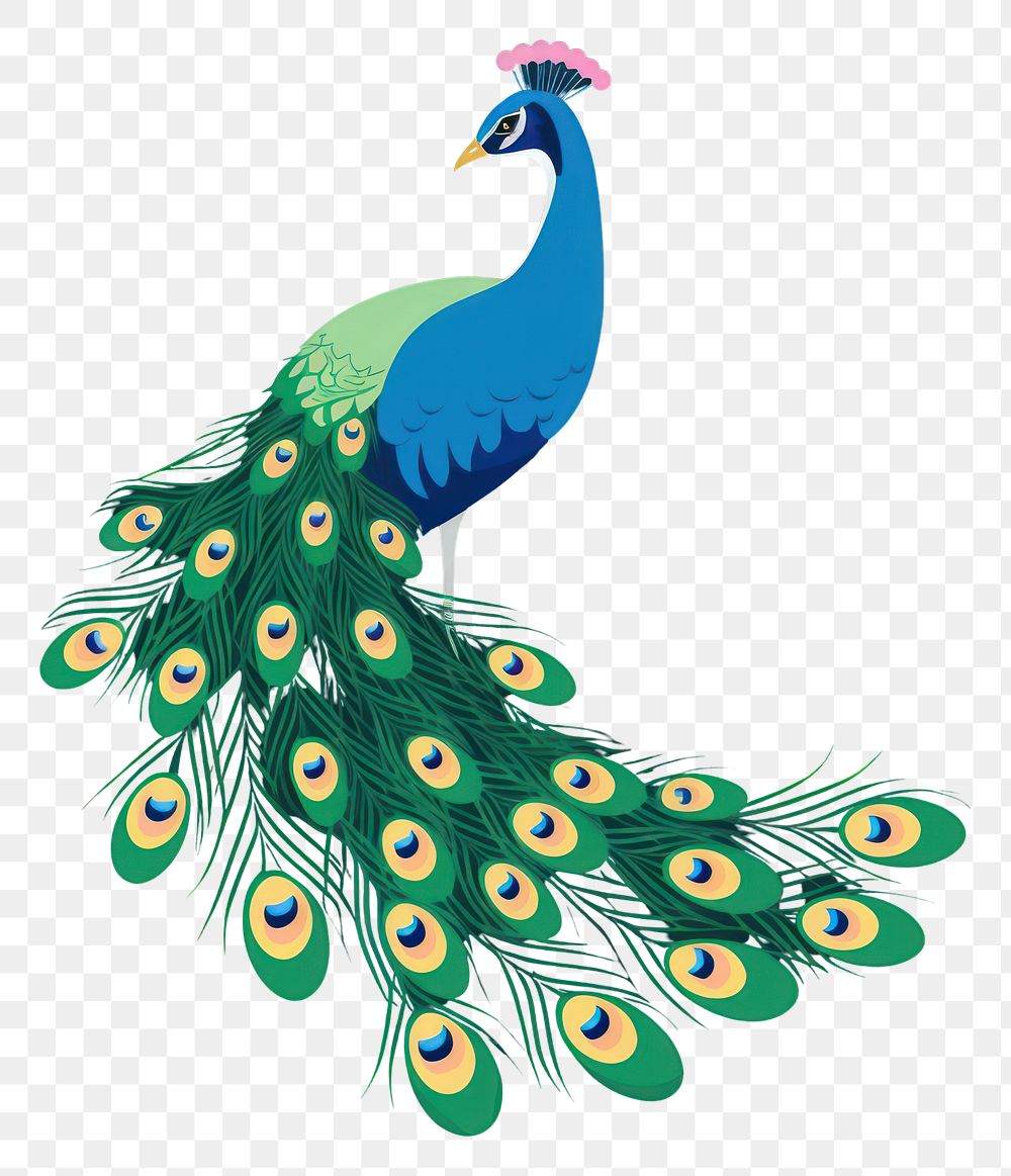 PNG Peacock animal bird wildlife